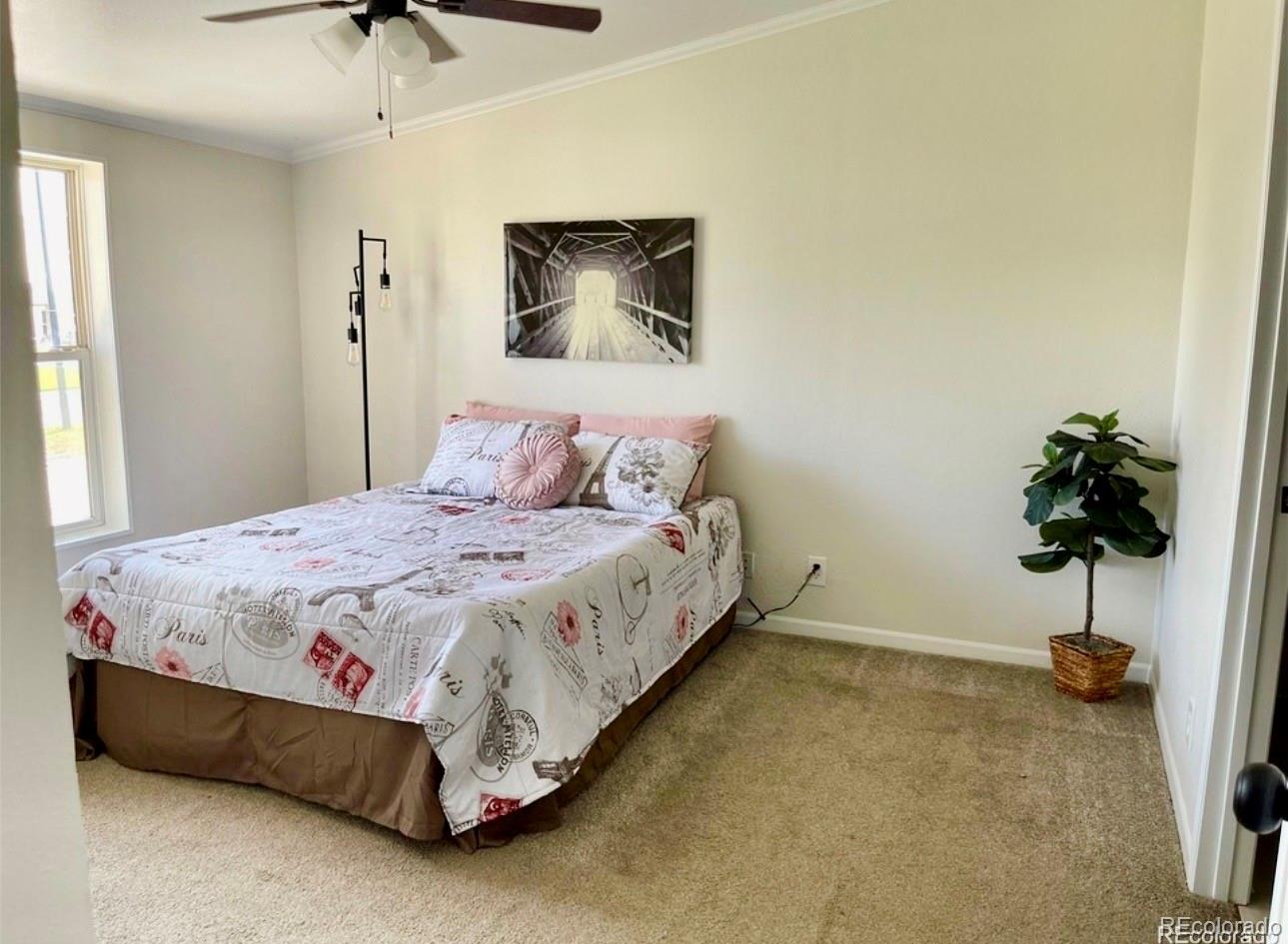 363 Shasta Court Kiowa CO 80117