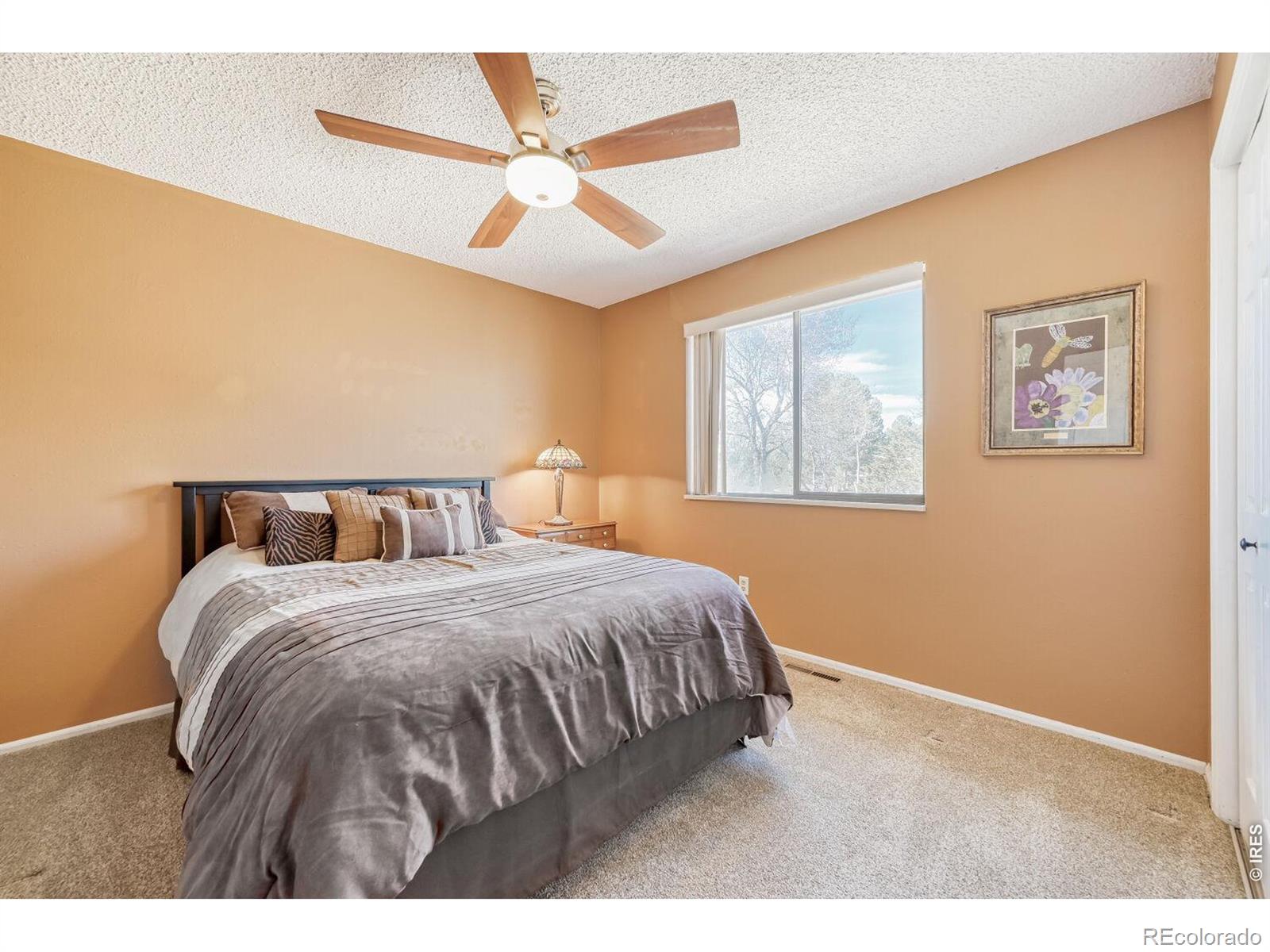 1617 Ithaca Court Longmont CO 80503