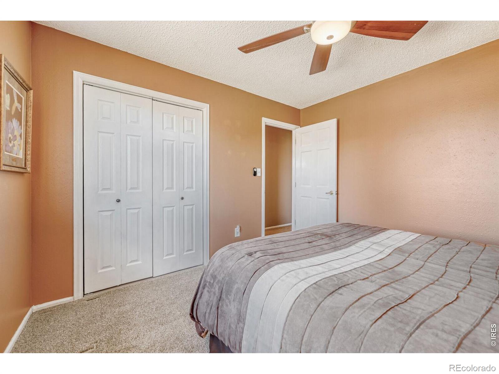 1617 Ithaca Court Longmont CO 80503