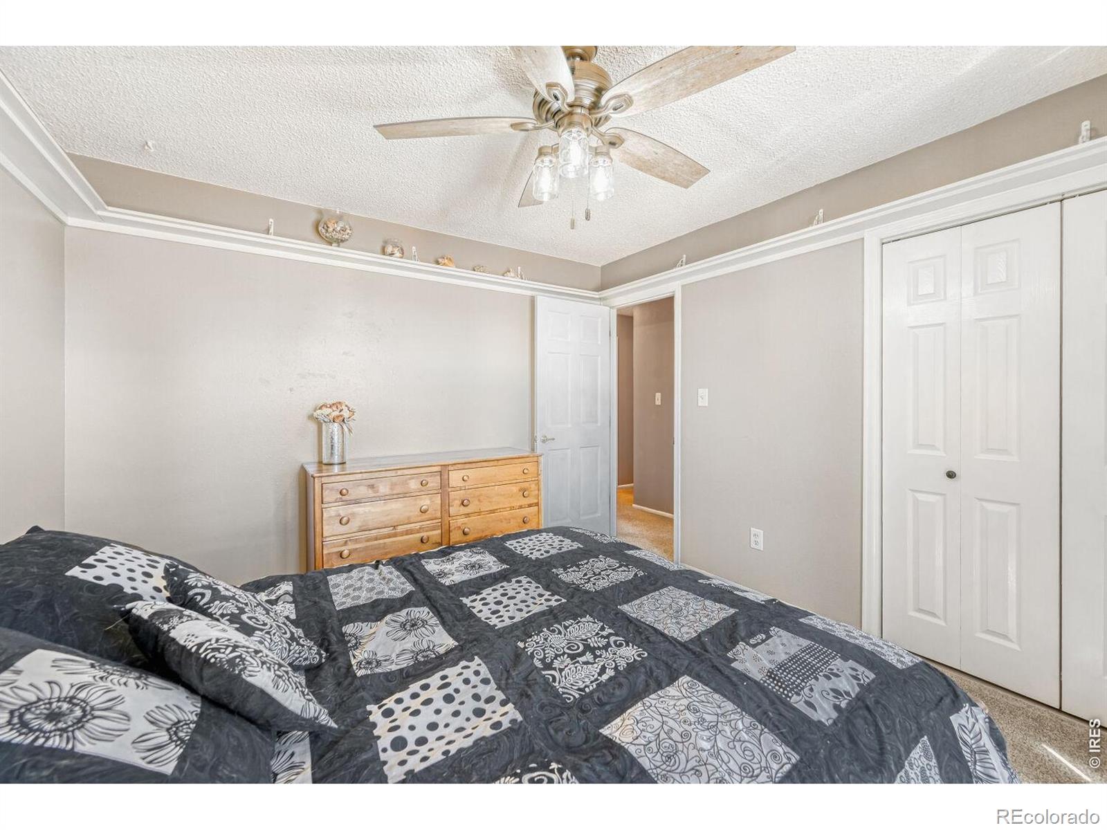 1617 Ithaca Court Longmont CO 80503