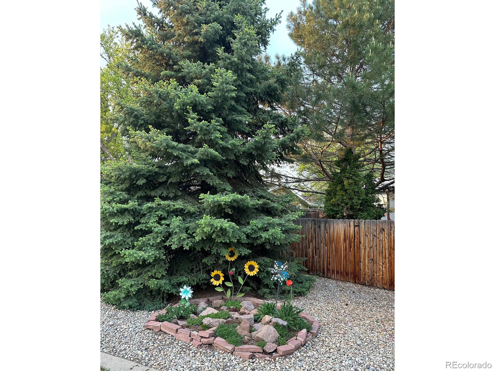 1617 Ithaca Court Longmont CO 80503