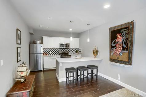 2728 Garganey Drive Castle Rock CO 80104