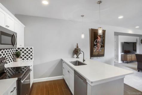 2728 Garganey Drive Castle Rock CO 80104