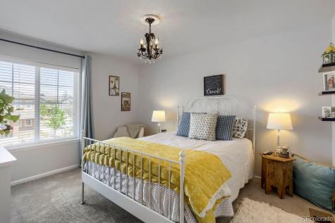 2728 Garganey Drive Castle Rock CO 80104