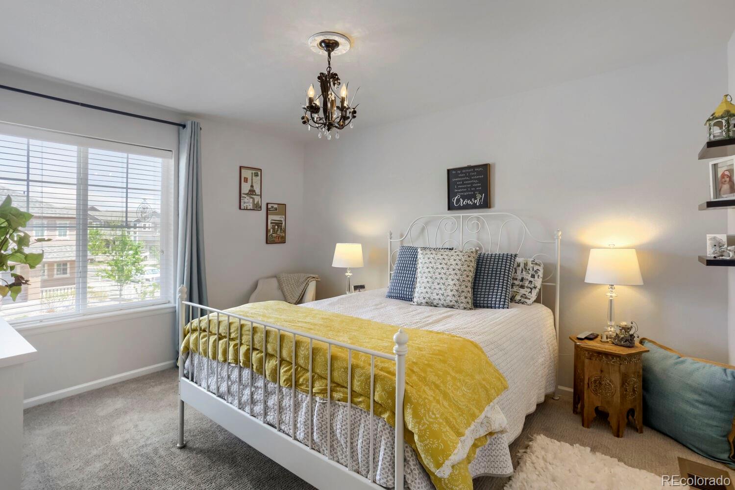 2728 Garganey Drive Castle Rock CO 80104