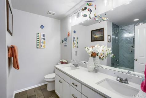 2728 Garganey Drive Castle Rock CO 80104
