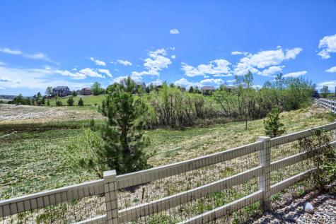 2728 Garganey Drive Castle Rock CO 80104