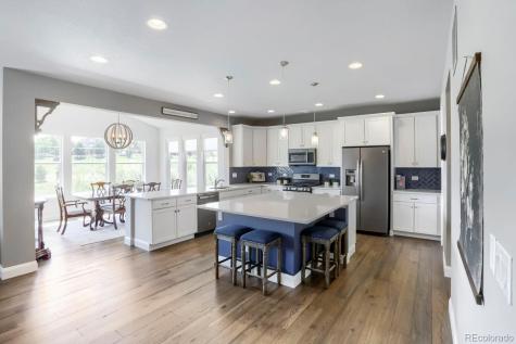 2728 Garganey Drive Castle Rock CO 80104