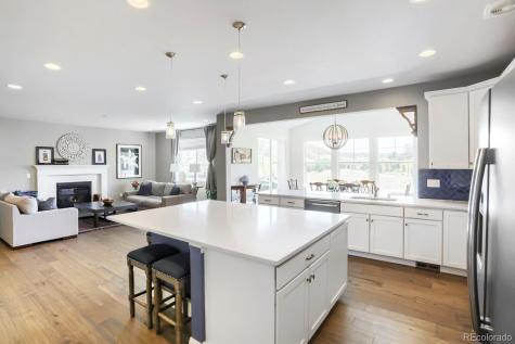 2728 Garganey Drive Castle Rock CO 80104