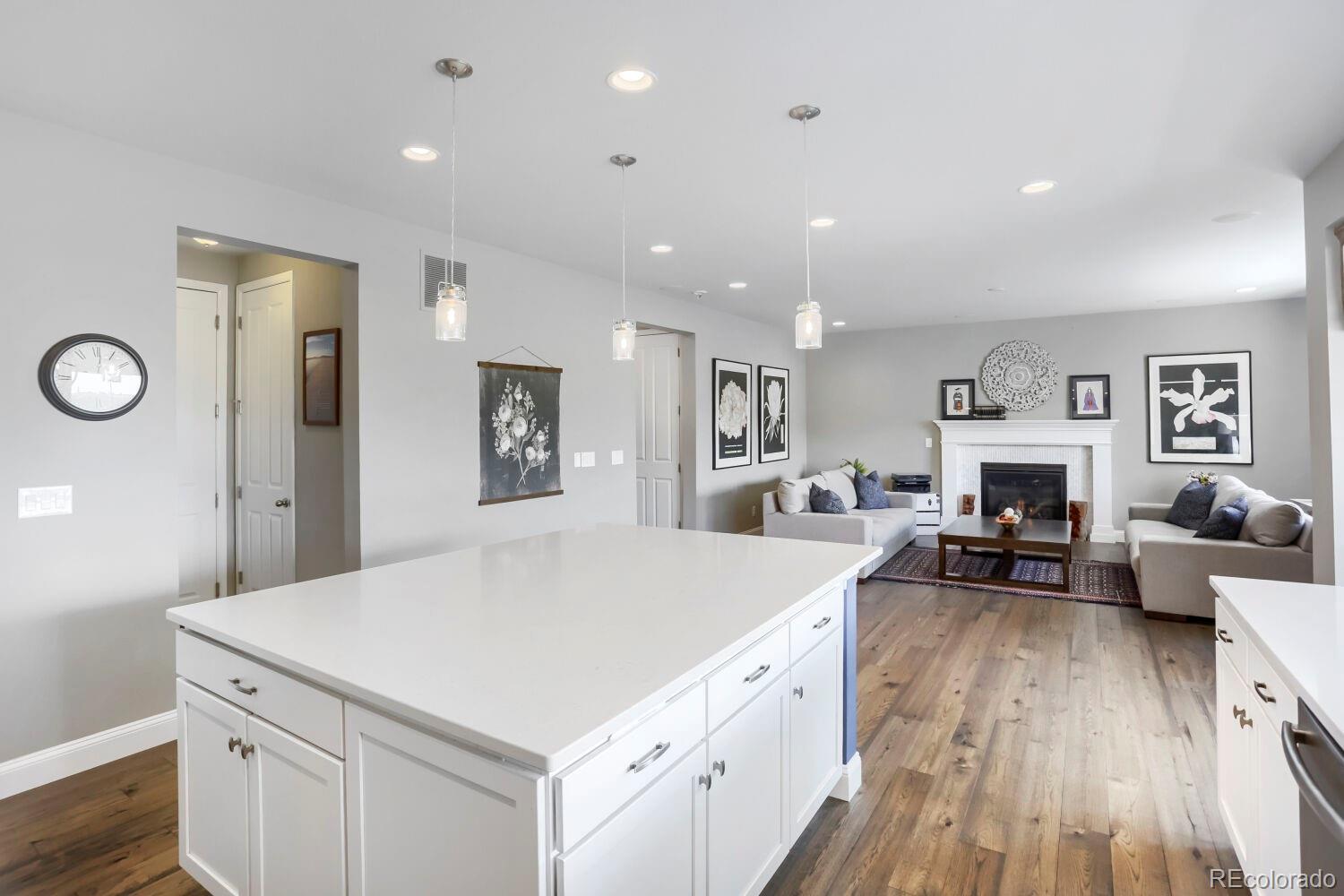 2728 Garganey Drive Castle Rock CO 80104