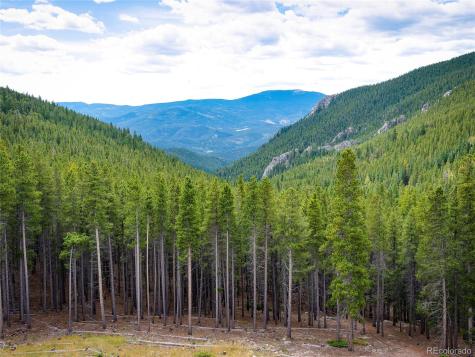 76 Raven Ridge Road Idaho Springs CO 80452