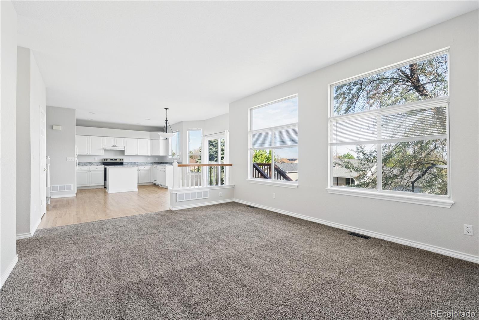 1577 S Pitkin Circle Aurora CO 80017