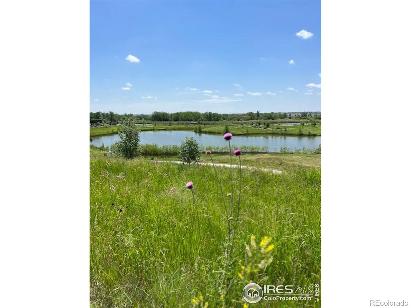5225 Inland Avenue Firestone CO 80504