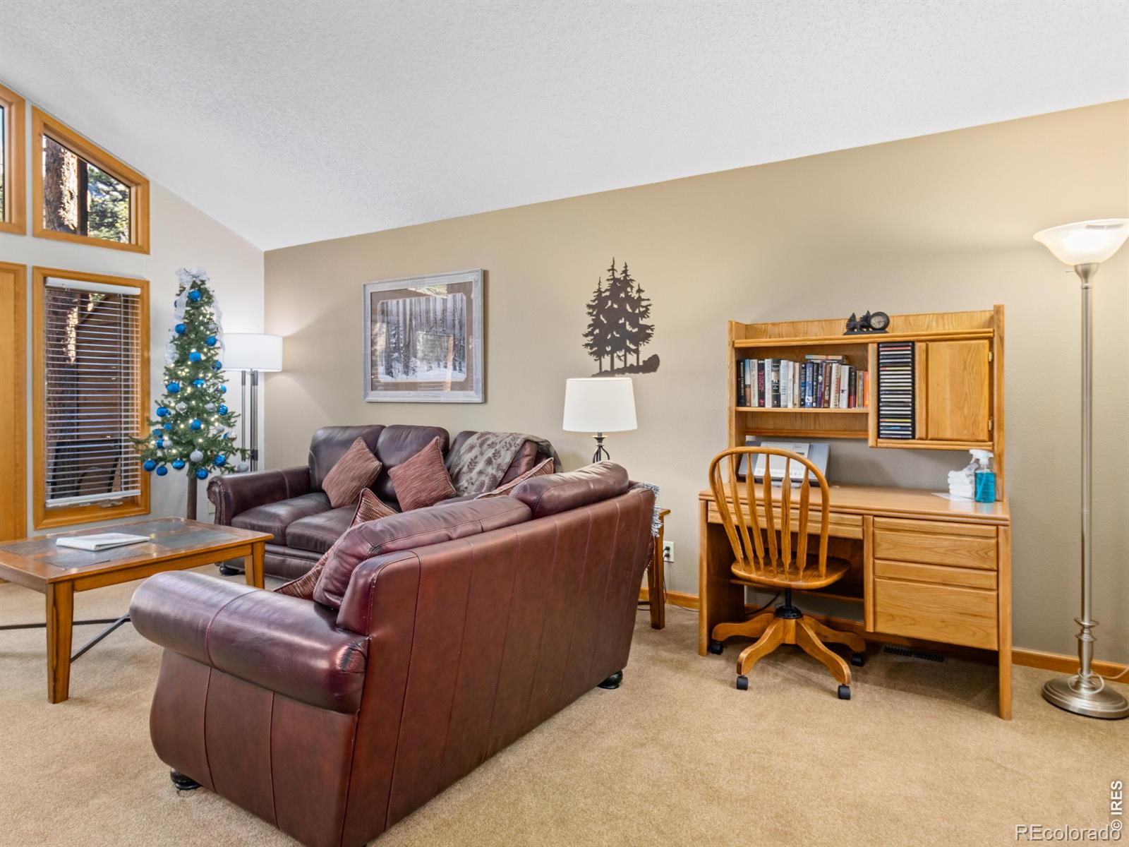 525 Fall River Lane Estes Park CO 80517
