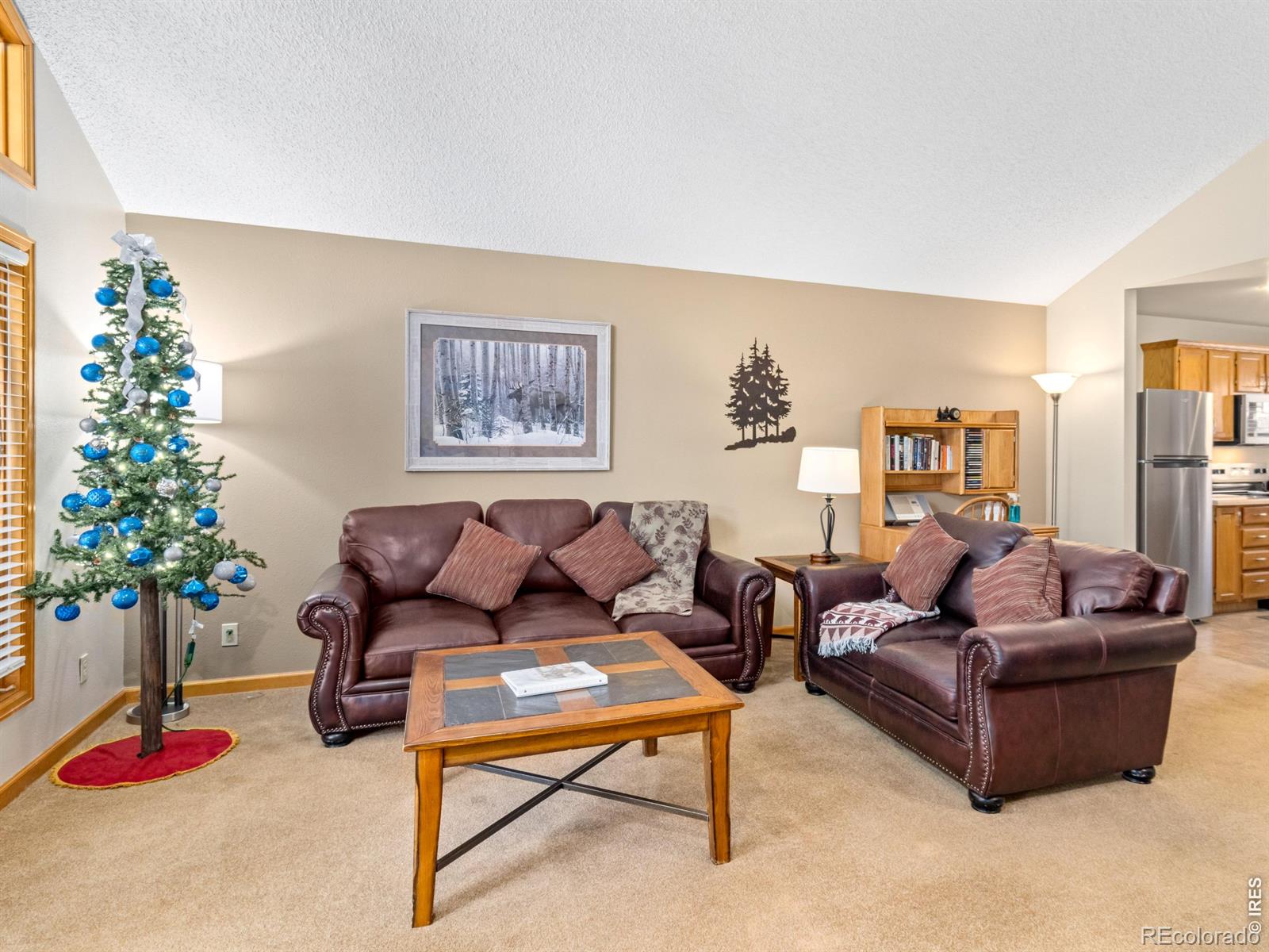 525 Fall River Lane Estes Park CO 80517