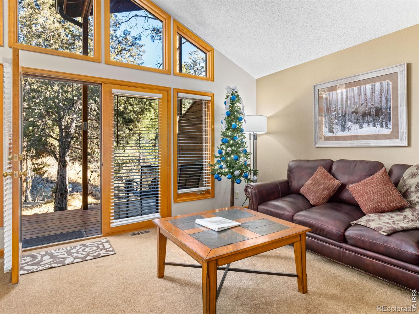 525 Fall River Lane Estes Park CO 80517