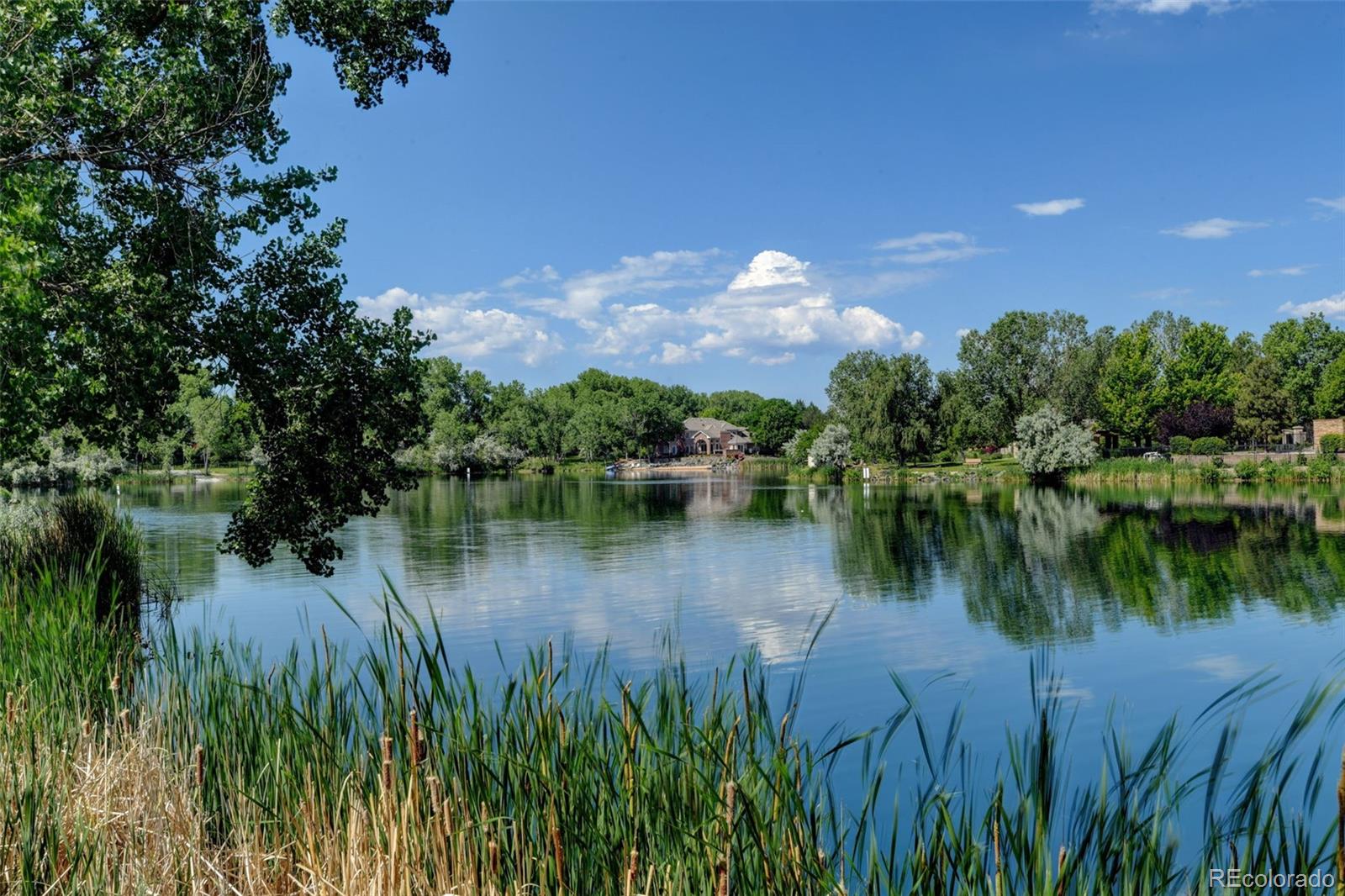 61 Blue Heron Drive Thornton CO 80241