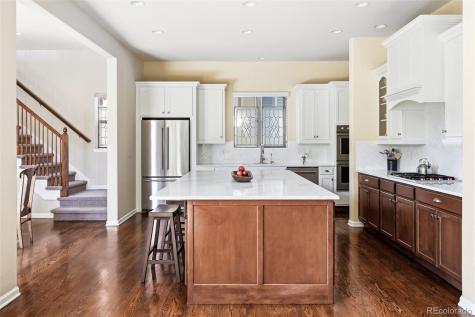 10221 Bluffmont Drive Lone Tree CO 80124