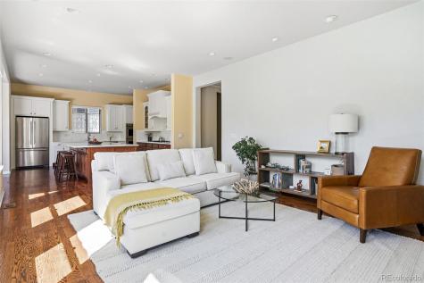 10221 Bluffmont Drive Lone Tree CO 80124