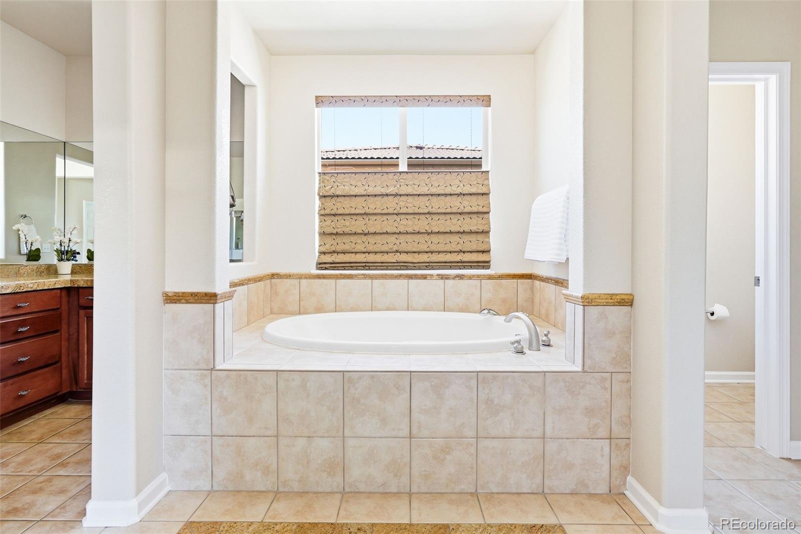 10221 Bluffmont Drive Lone Tree CO 80124