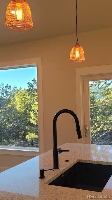 1913 Lone Pine Way Crestone CO 81131