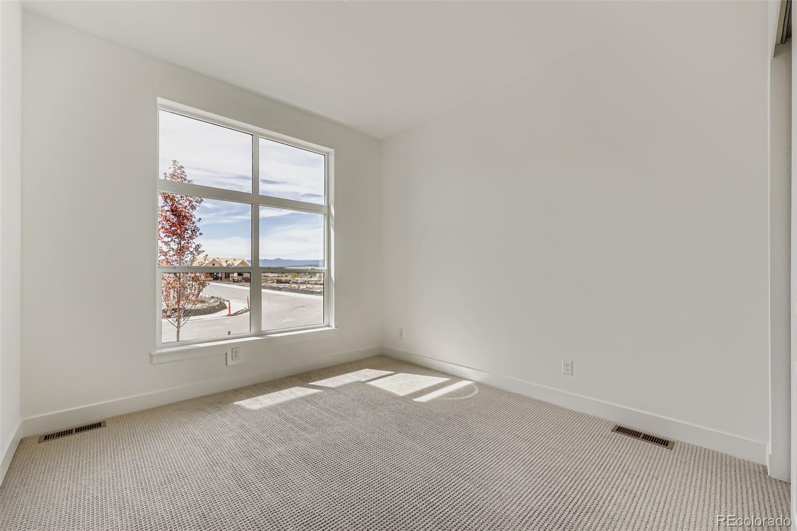 494 Basin Daisy Street Castle Rock CO 80104