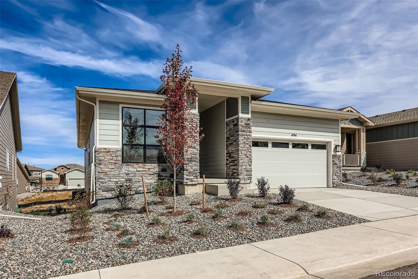 494 Basin Daisy Street Castle Rock CO 80104