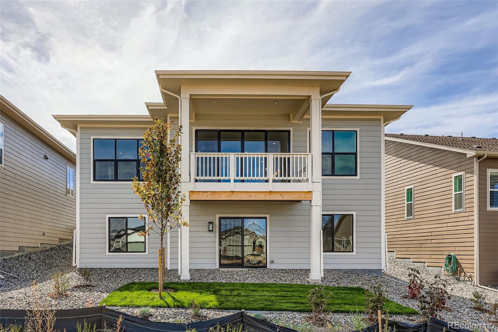 494 Basin Daisy Street Castle Rock CO 80104
