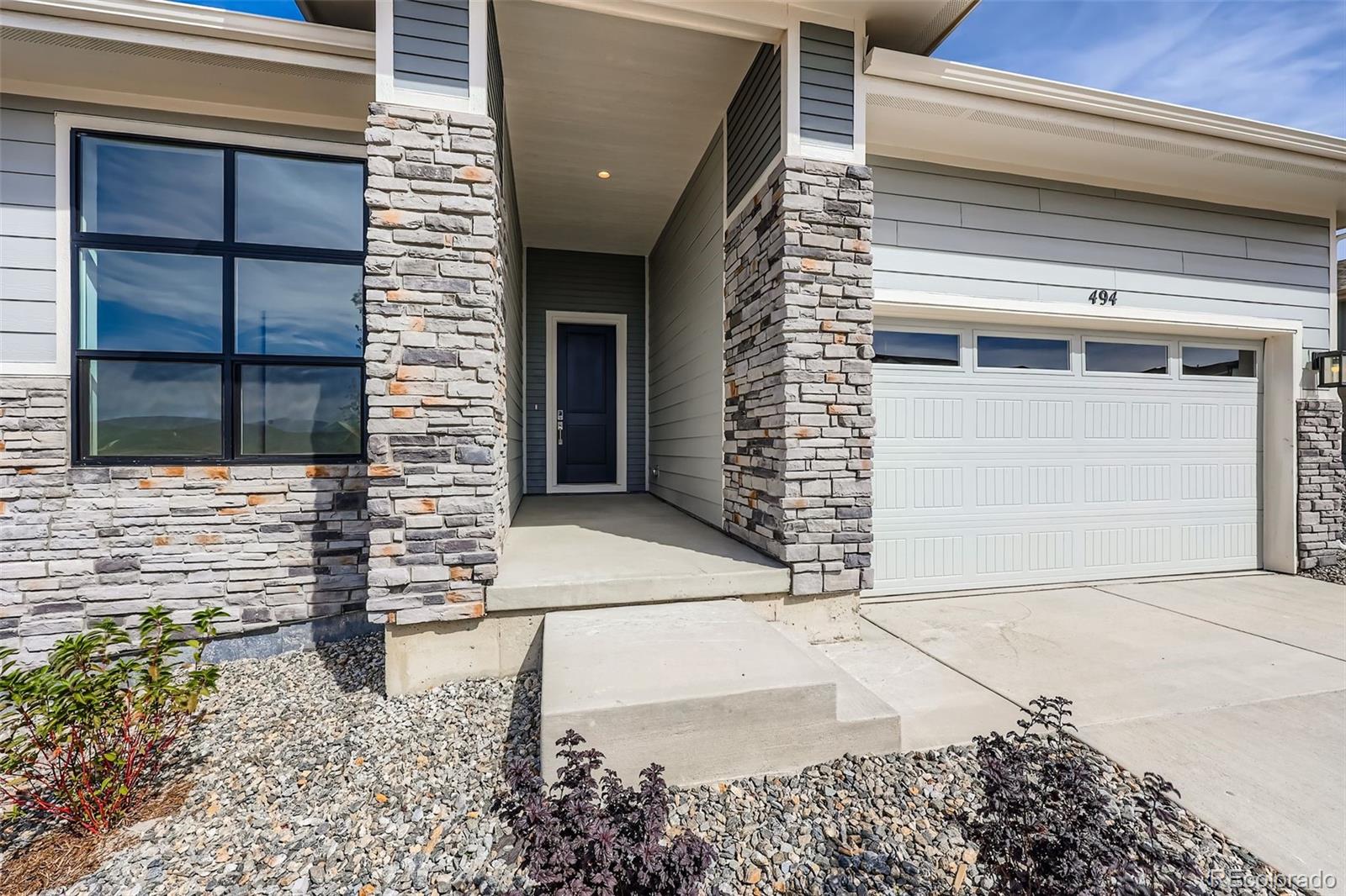 494 Basin Daisy Street Castle Rock CO 80104