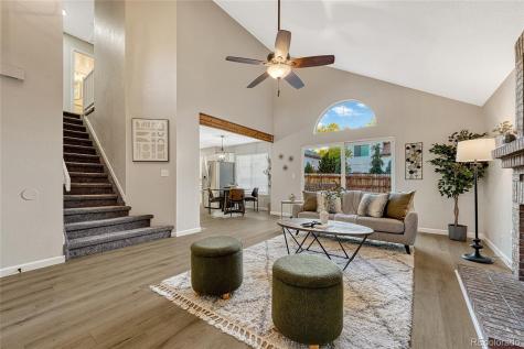 11505 Wray Court Parker CO 80134