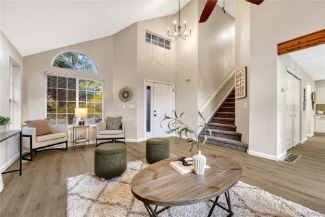 11505 Wray Court Parker CO 80134