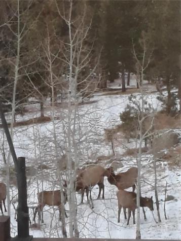 4450 Walker Ridge View Colorado Springs CO 80908