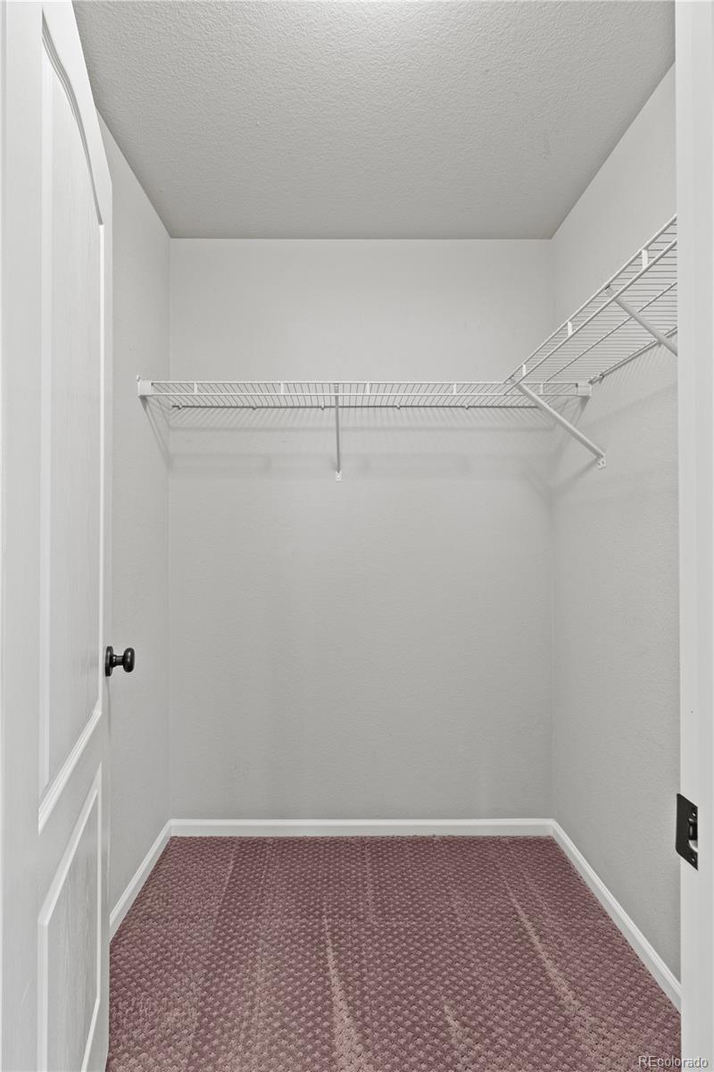 21366 E Stroll Avenue Parker CO 80138