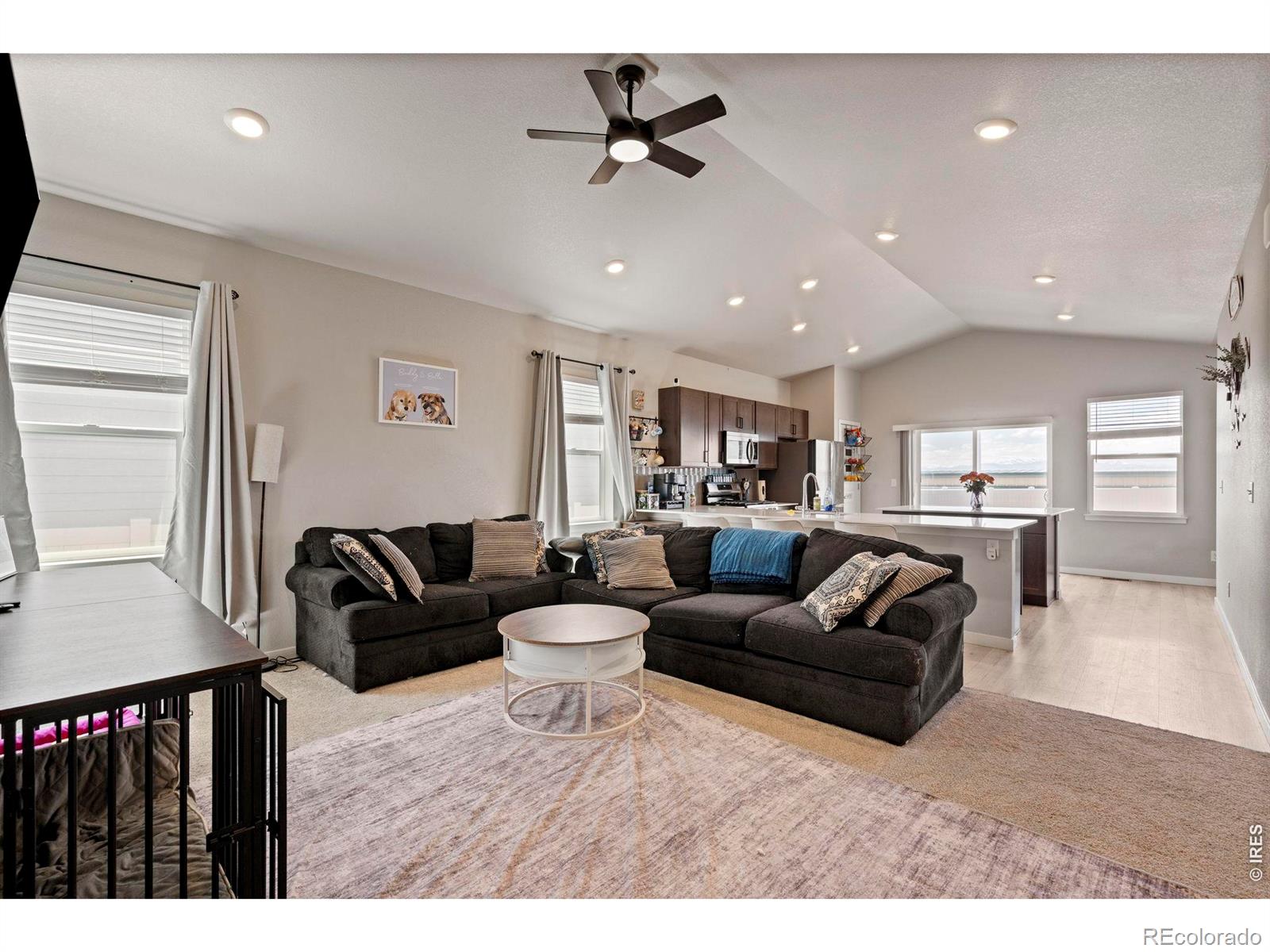 455 Pony Express Trail Ault CO 80610