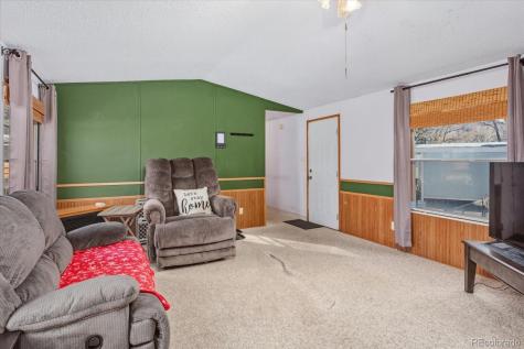 611 W Main Street Buena Vista CO 81211