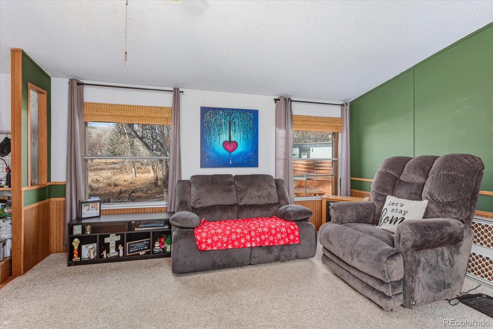 611 W Main Street Buena Vista CO 81211