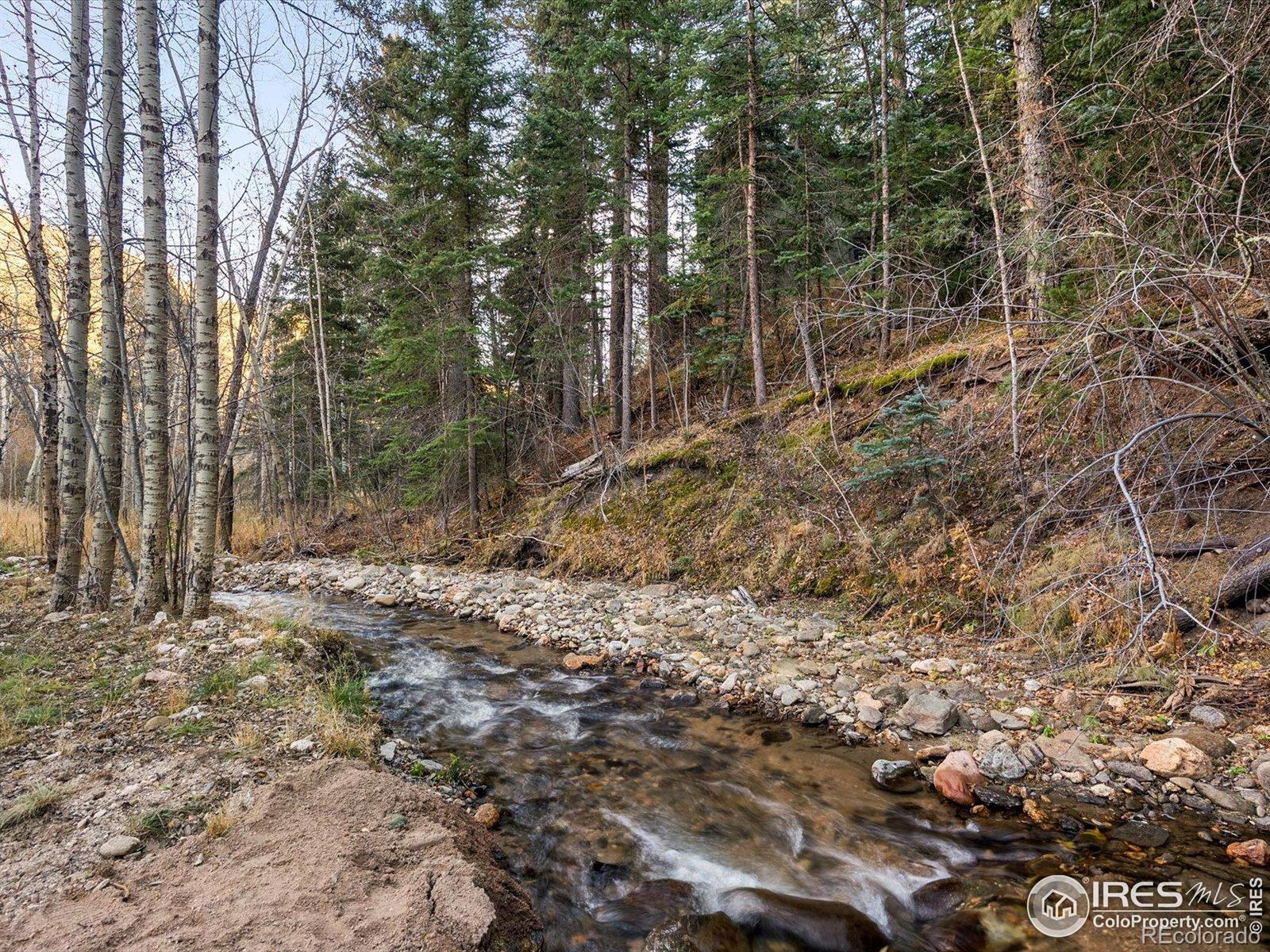 1035 Streamside Drive Glen Haven CO 80532