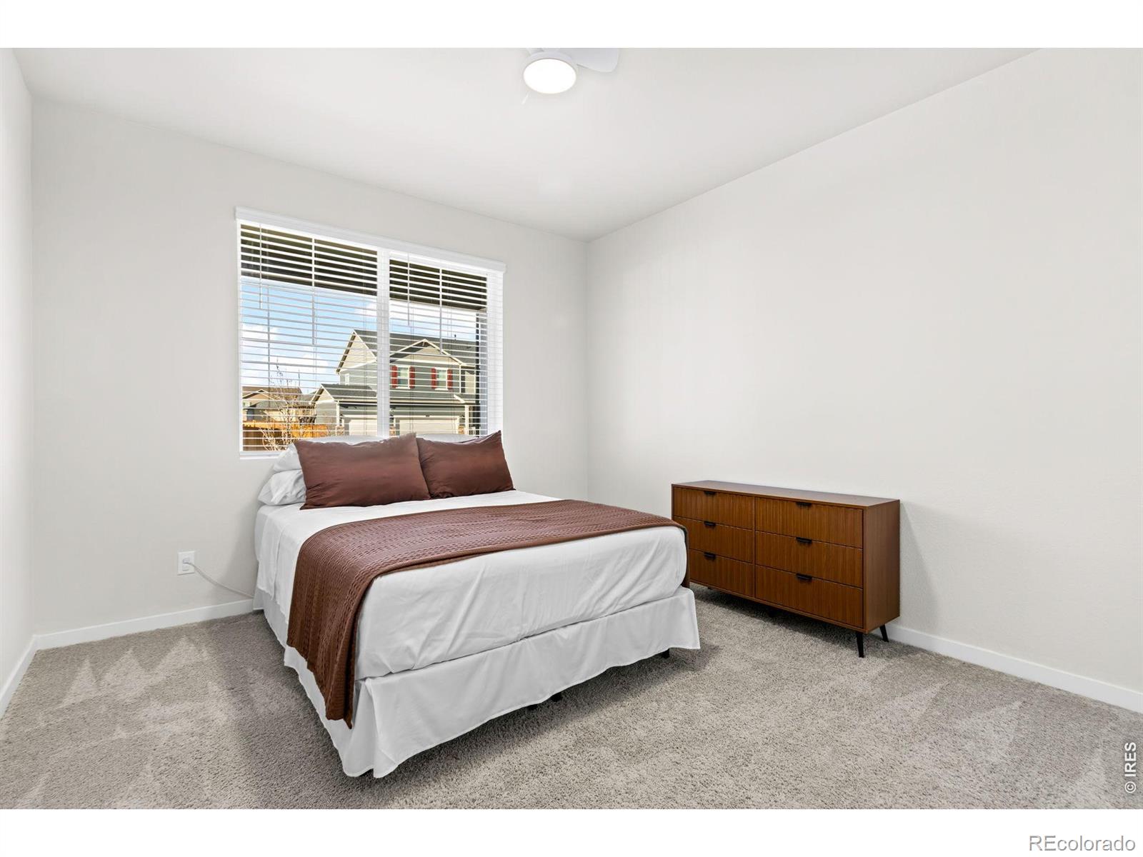 3657 Speedwell Street Wellington CO 80549
