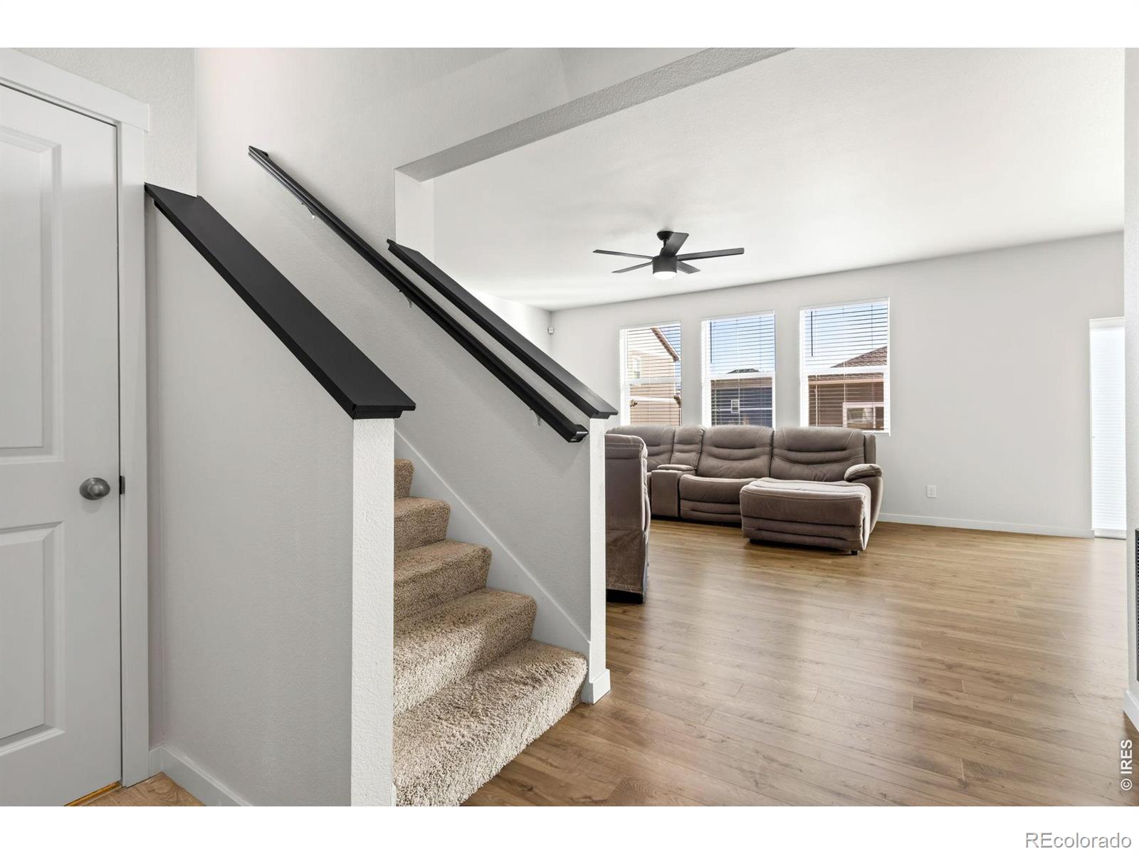 3657 Speedwell Street Wellington CO 80549