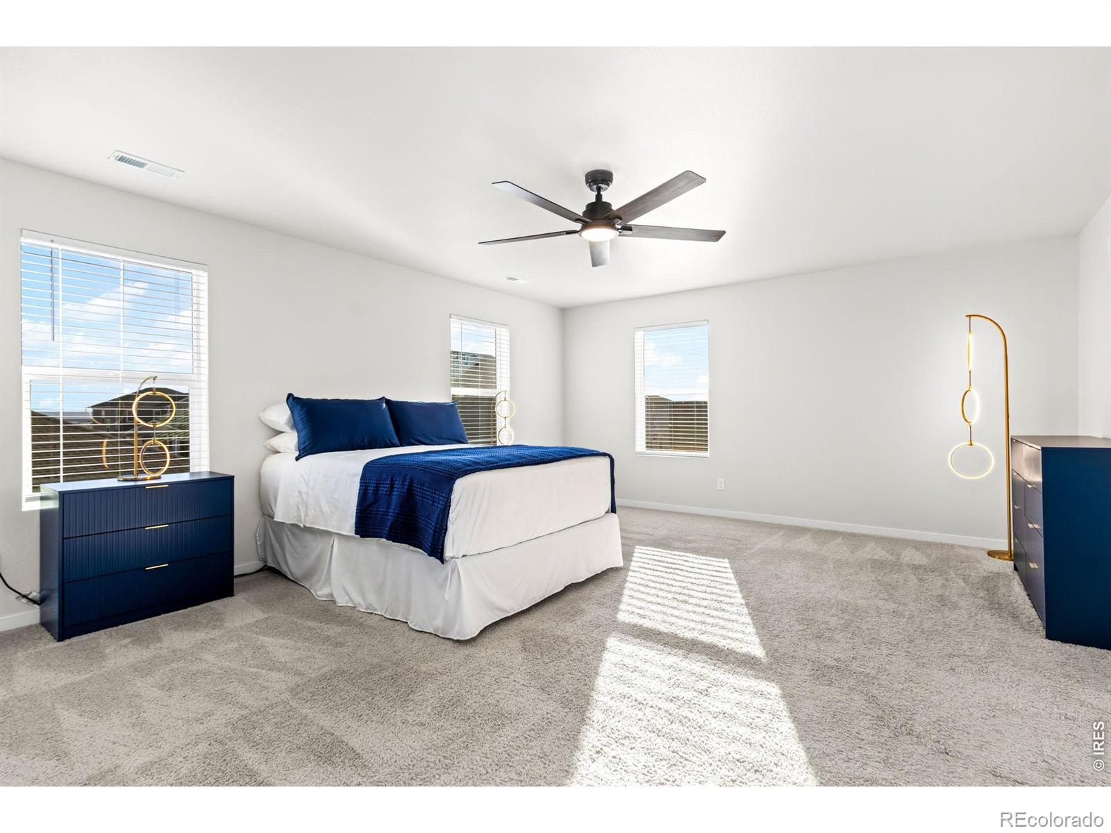 3657 Speedwell Street Wellington CO 80549
