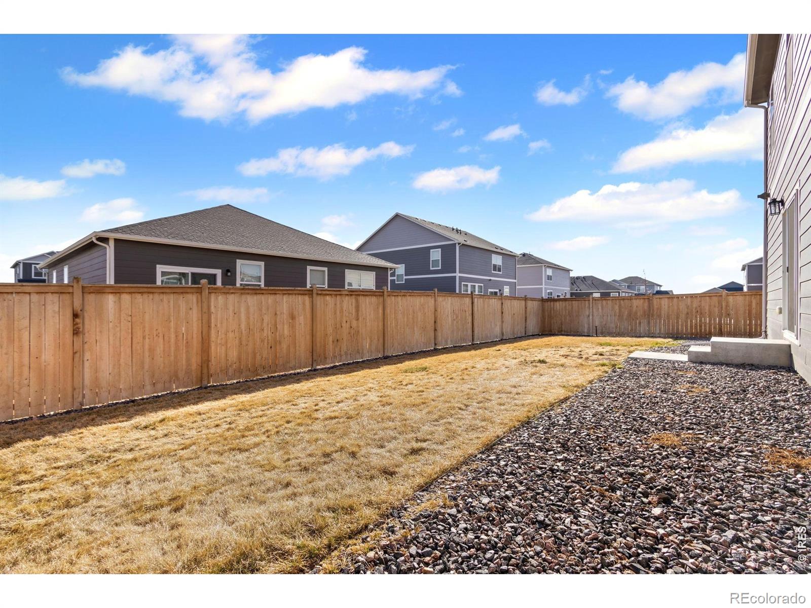 3657 Speedwell Street Wellington CO 80549