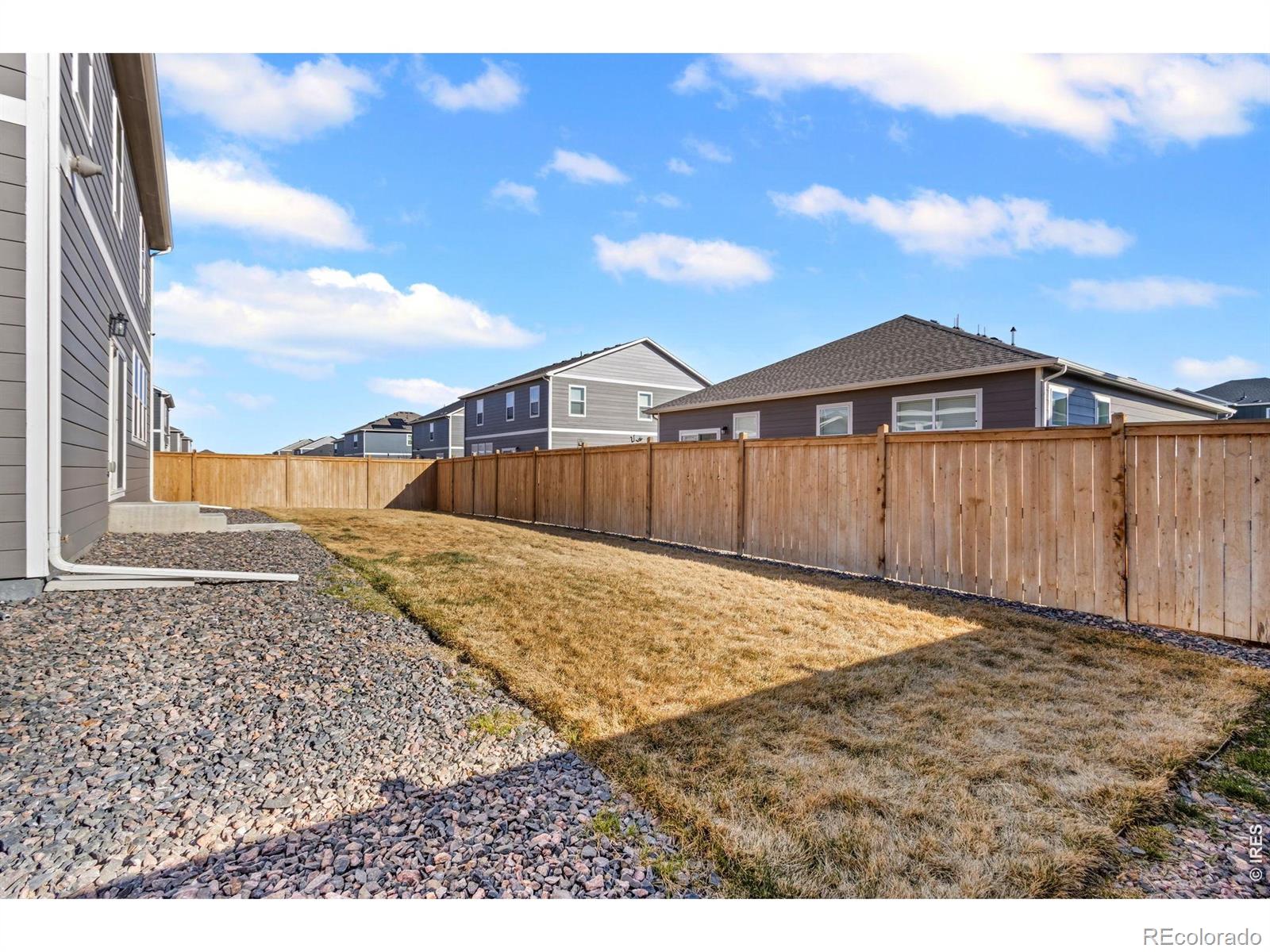 3657 Speedwell Street Wellington CO 80549