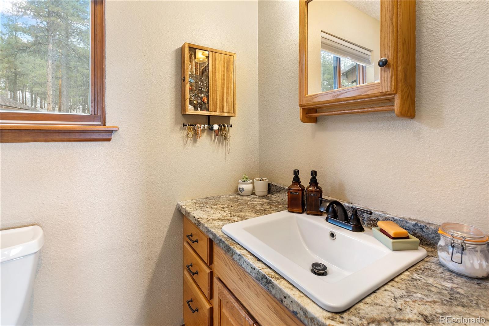901 Wilson Drive Florissant CO 80816