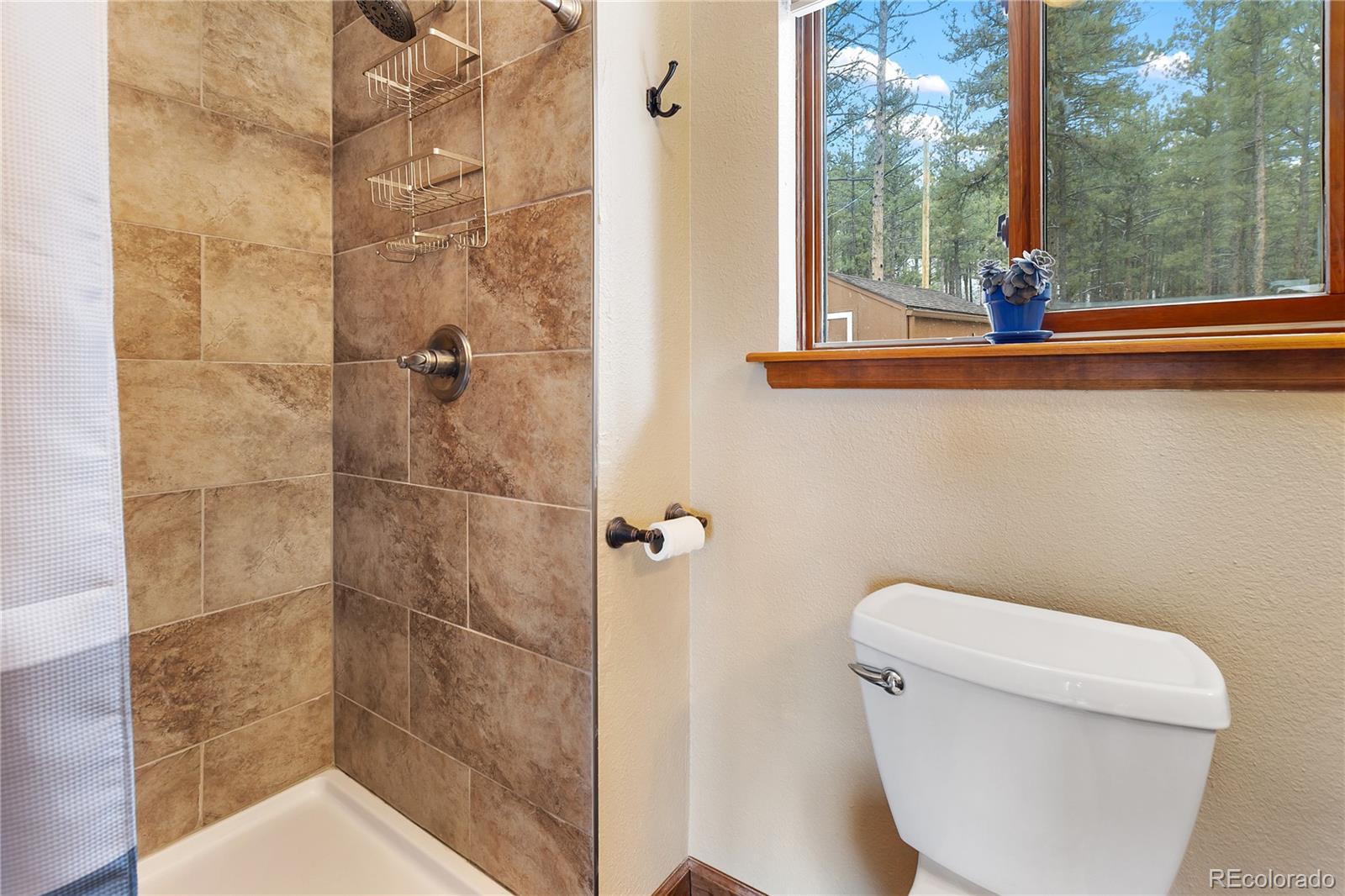 901 Wilson Drive Florissant CO 80816