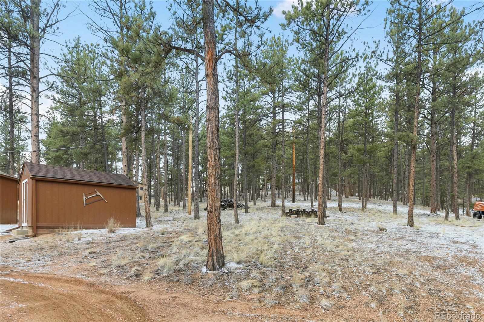 901 Wilson Drive Florissant CO 80816