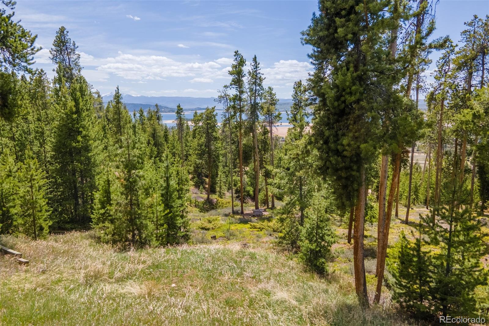 1880 Grand County Road 642 Grand Lake CO 80447