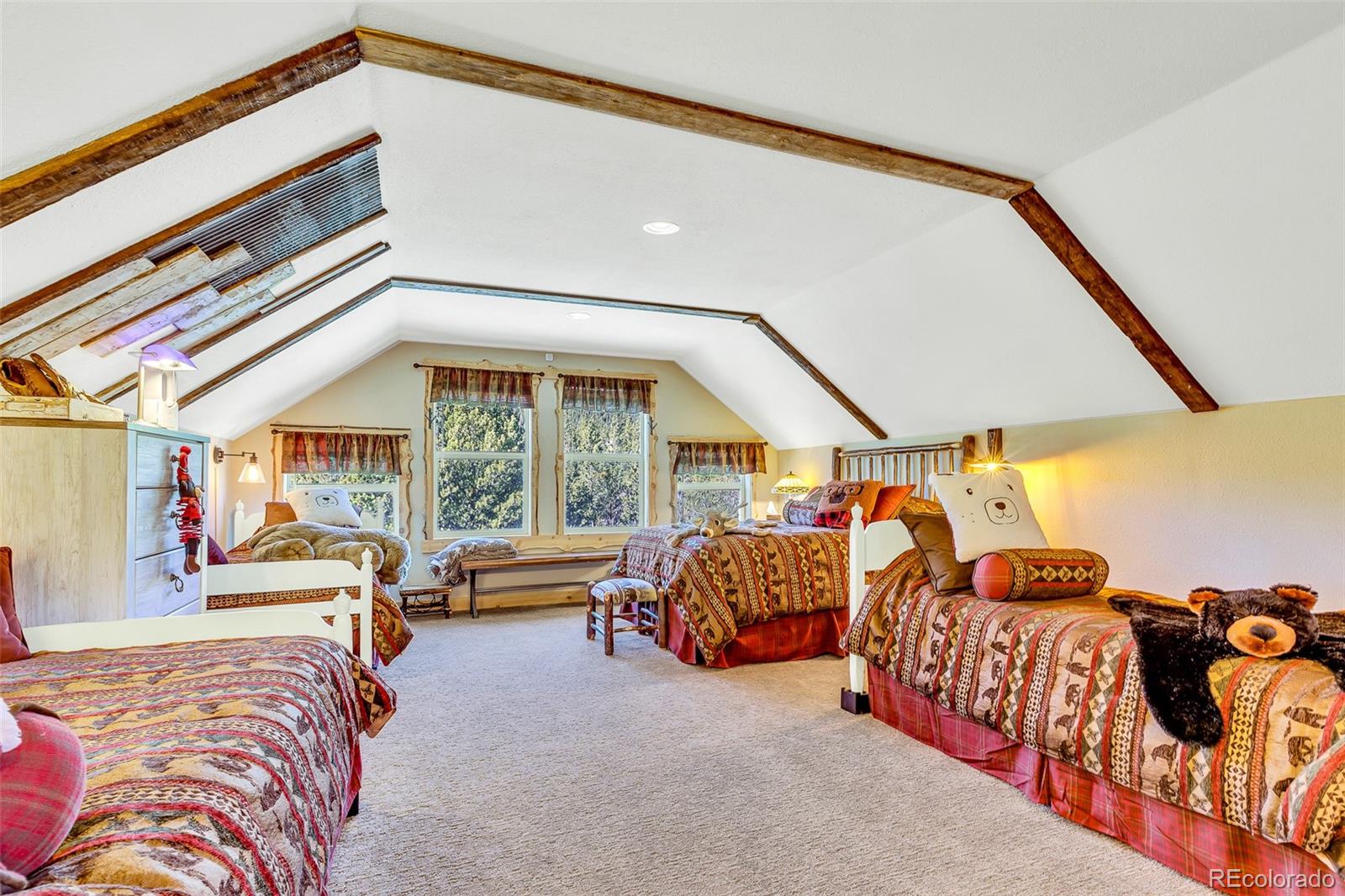 254 Edgewood Road Alma CO 80420