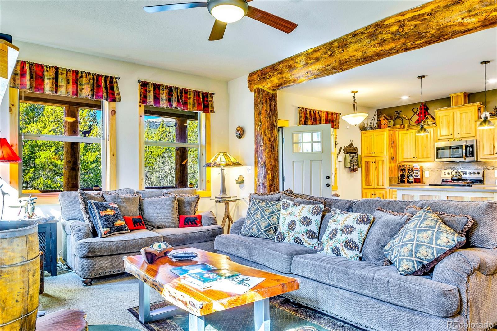 254 Edgewood Road Alma CO 80420