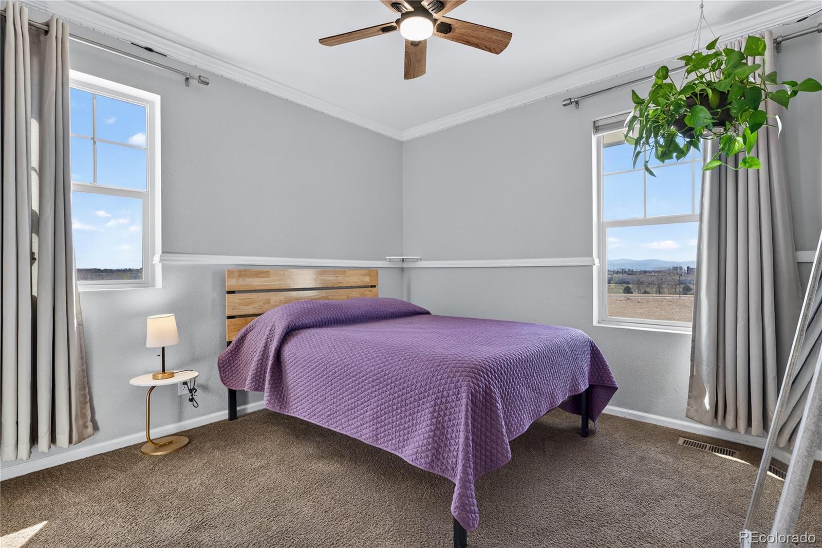 7902 E 49th Place Denver CO 80238