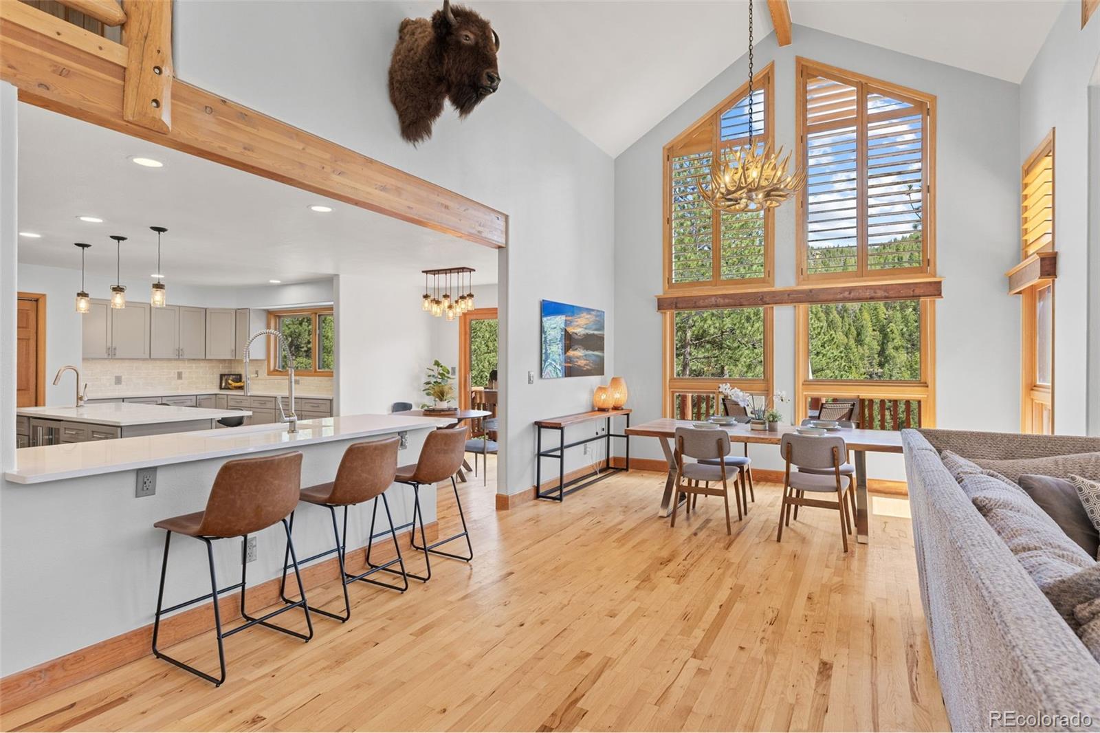 32230 Aspen Meadow Drive Evergreen CO 80439